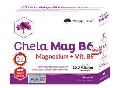 Chela mag b6 2025